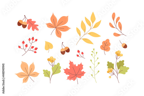 Collection of autumn leaves, twigs and berries in cartoon style