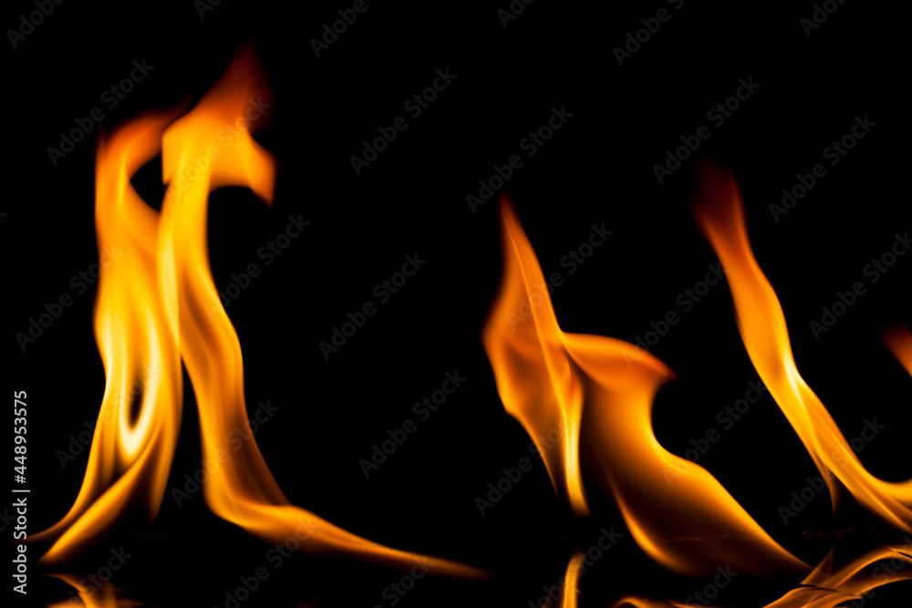 Fire flames on black background. Fire flames on black background.