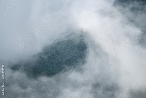 雲が湧く森 © rai