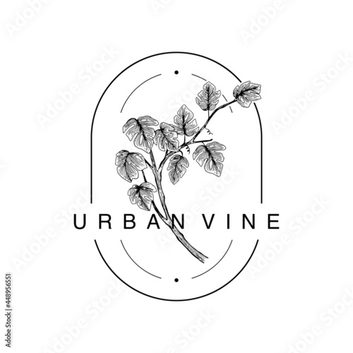 variegate line art minimal feminine logo