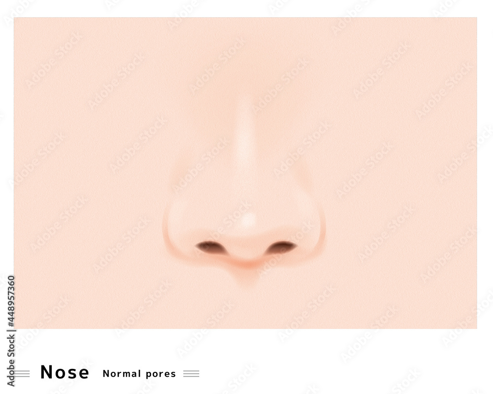 鼻 鼻の穴 毛穴 きれい ケア 美容 治療 スキンケア 引き締め イラスト ベクター Stock Vector Adobe Stock