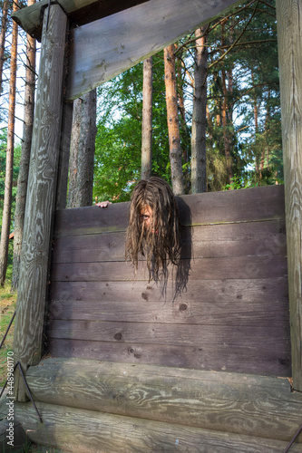 the head of a girl with long disheveled hair clamped in a guillotine, a scene of a medieval execution, a sentence
