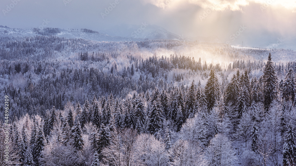 landscape with fog landscape with fog
