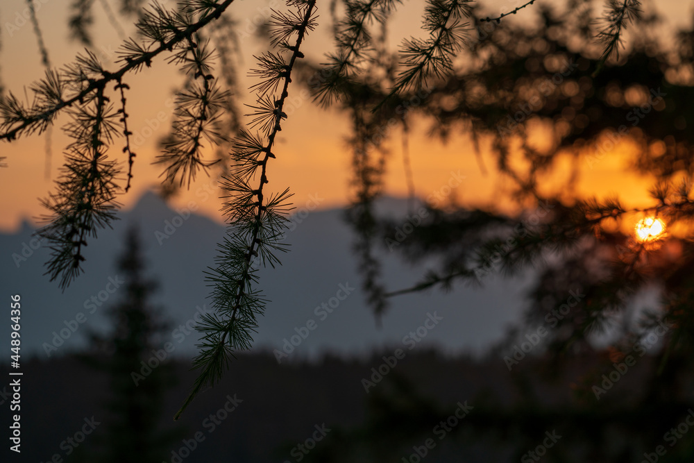 beautiful sunset on the mountains in summer with view to the alps beautiful sunset on the mountains in summer with view to the alps