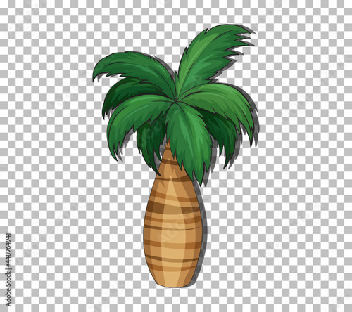 Palm tree on transparent background