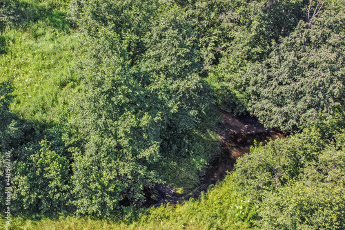 A small stream flows through dense thickets on a summer day