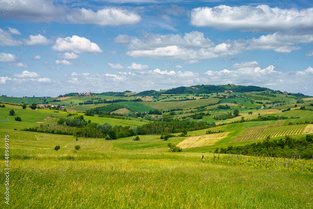 Landscape on the Tortona hills at springtime.