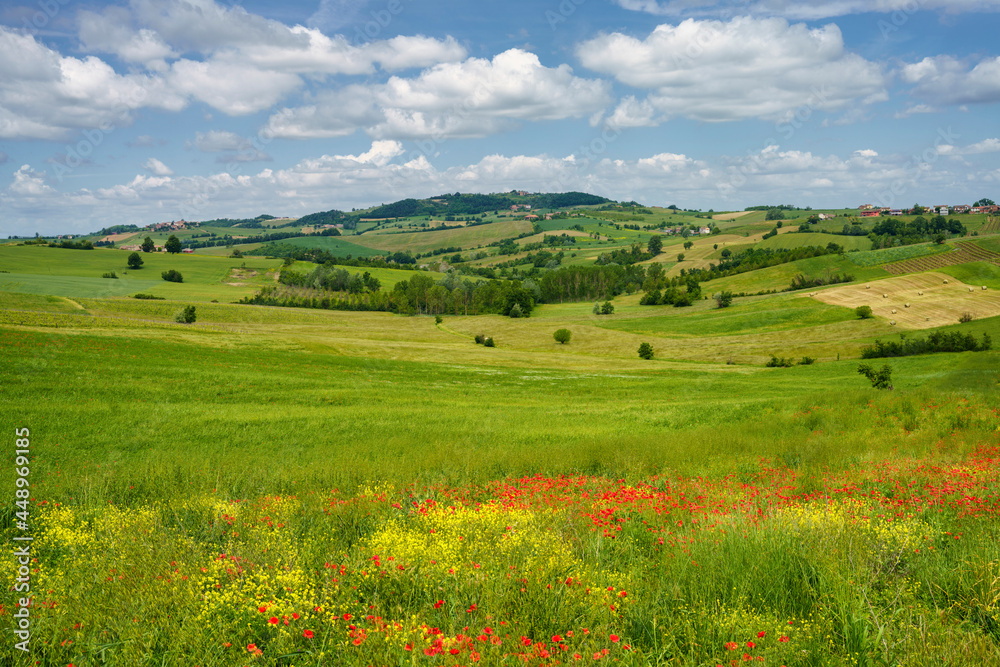 Landscape on the Tortona hills at springtime. Landscape on the Tortona hills at springtime.