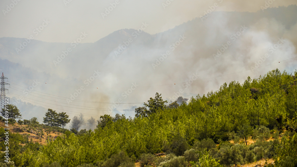 Turkey strives to put out wildfires