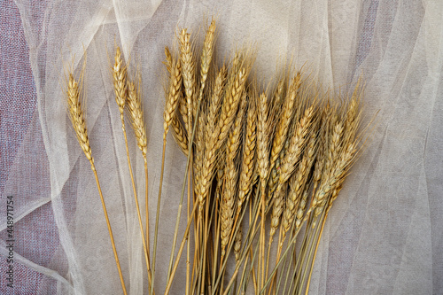 Dried buckwheat ears used for garnishing on white tulle fabric