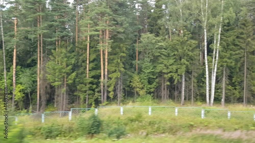 Summer green forest of perennial mixed trees from the window of a passenger train moving through Europe