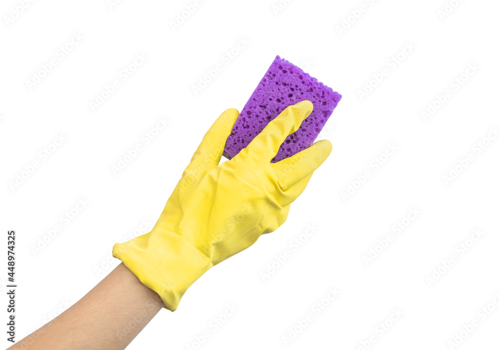 Coseup of female hand in protective rubber glove holding purple cleaning sponge, isolated on a white background photo Coseup of female hand in protective rubber glove holding purple cleaning sponge, isolated on a white background photo