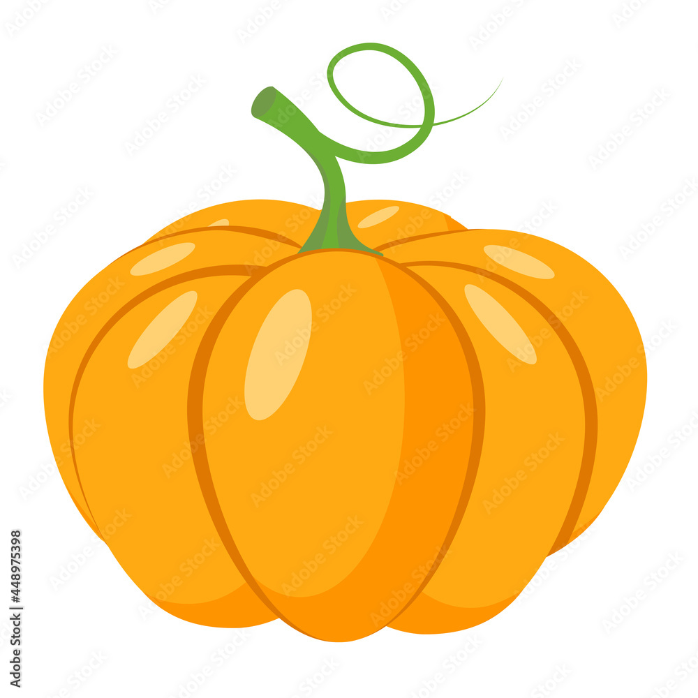 Pumpkin vector cartoon flat icon of sweet vegetable isolated on white background