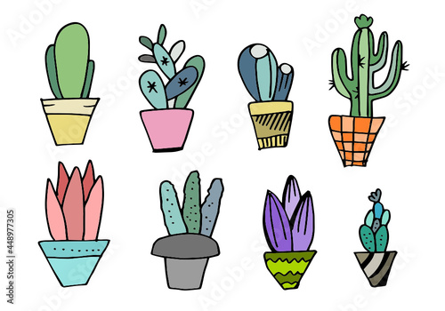 Colorful Cactus and succulents vector set. Hand drawn cacti illustration. © tedi