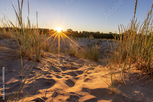 Fototapeta Naklejka Na Ścianę i Meble -  Summer sunrise over the sandy dunes in Yyteri