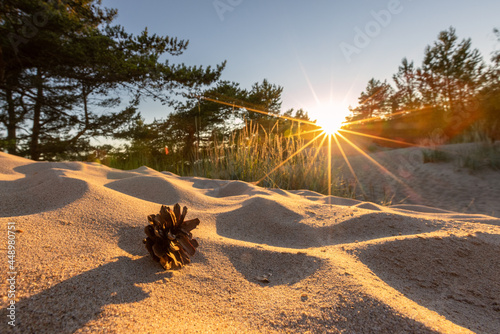 Fototapeta Naklejka Na Ścianę i Meble -  Summer sunset on the sandy dunes in Yyteri