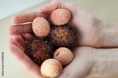 Female hands are holding exotic ripe rambutan and leechy or lychee fruits. Healthy food, fresh organic fruit.