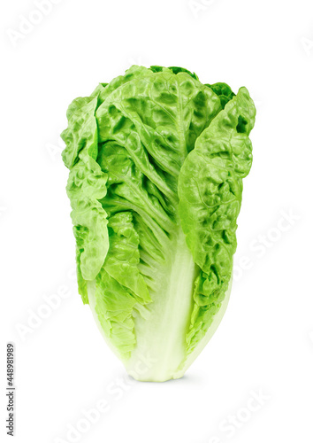 Fresh baby cos romaine letucce isolated on white background photo