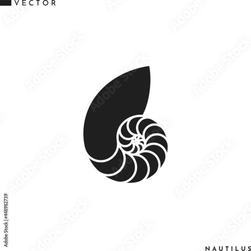 Nautilus shell. Isolated icon on white background photo