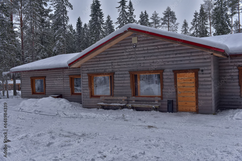 log cabin in a pine forest in winter log cabin in a pine forest in winter