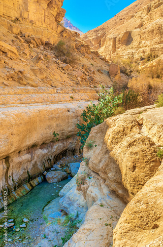 The mountain river, Ein Gedi nature reserve, Israel. photo