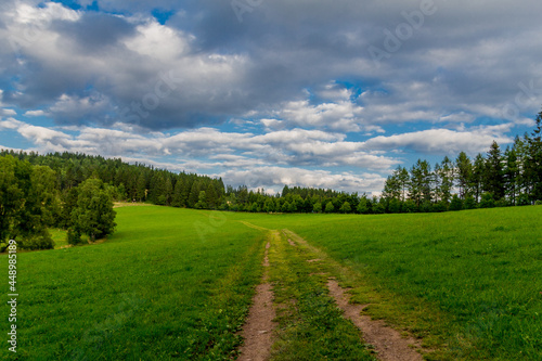 Sommerspaziergang durch die schöne Natur des Thüringer Waldes