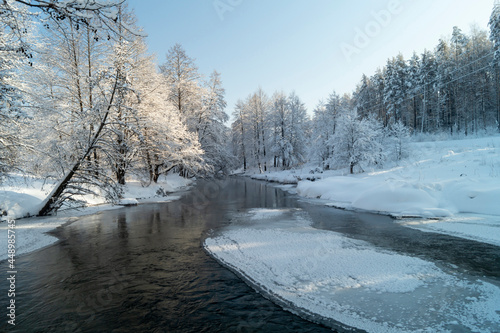 Landscape with a river in a winter forest in Russia © ovcerleonid
