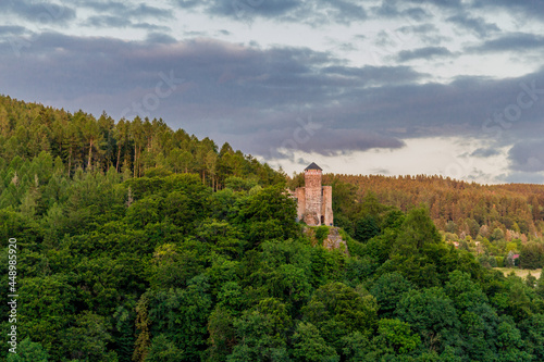 Wallpaper Mural Sommerspaziergang durch die schöne Natur des Thüringer Waldes Torontodigital.ca