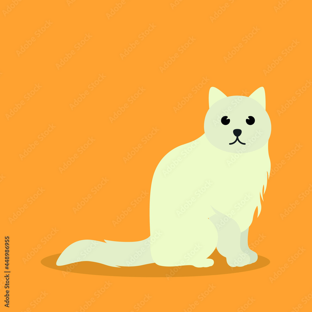 Persian cat, pet animal flat vector isolated design concept Persian cat, pet animal flat vector isolated design concept