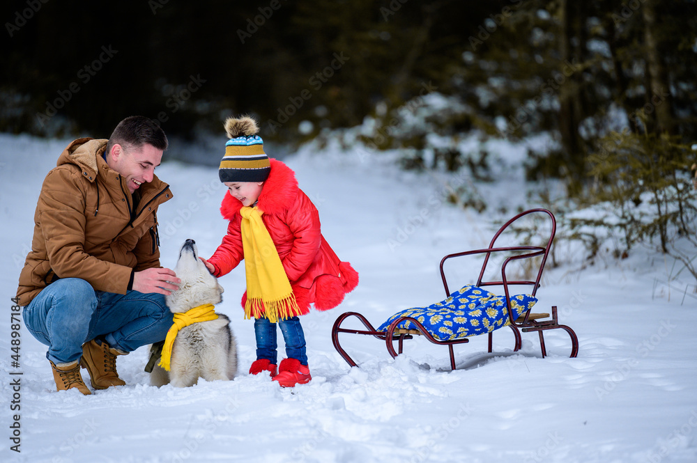 Happy father with daughter on a walk in the woods, girl and husky in yellow scarves, bright clothes in winter.