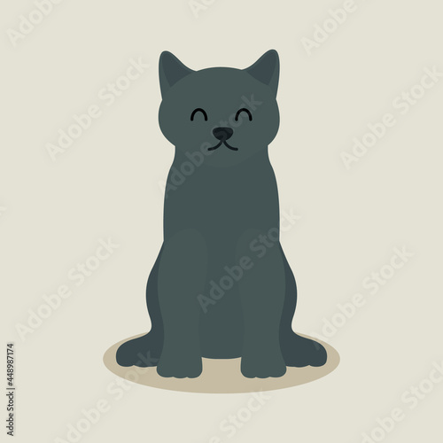 British shorthair cat, pet animal flat vector isolated design concept