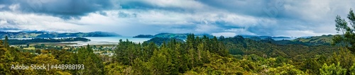 Fototapeta Naklejka Na Ścianę i Meble -  Jungle panorama and ocean on the horizon in New Zealand