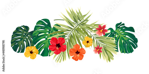 Tropical plants, hibiscus flowers and monstera palm leaves