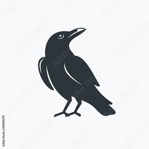 crow illustration, crow icon, crow vector art.