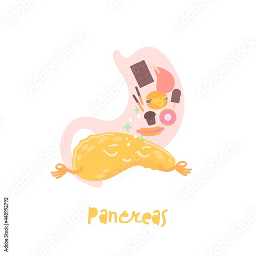 Healthy pancreas. Cartoon character. Healthcare, anatomy, pancreatitis, transplantation image.