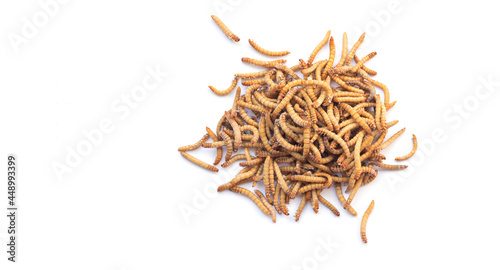 Heap of meal worms for feeding pets isolated on white background
