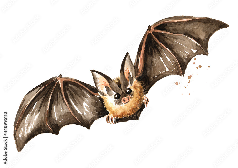 Obraz premium Flying bat. Hand drawn watercolor illustration, isolated on white background