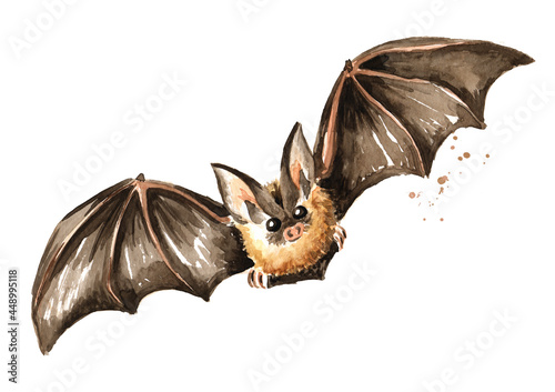Flying bat. Hand drawn watercolor illustration, isolated on white background