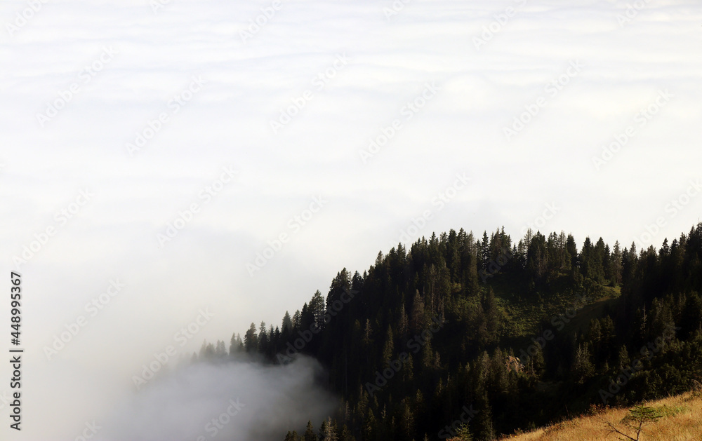 misty morning in the mountains :Turkey ,Kaçkar Mountains