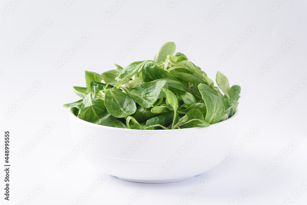 Fresh corn salad leaves on a white background. The concept of lettuce is rich in vitamins, beneficial for health as an ingredient in vegetarian food. Fresh corn salad leaves on a white background. The concept of lettuce is rich in vitamins, beneficial for health as an ingredient in vegetarian food.