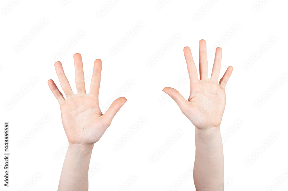 Hands up on white background isolated. Concept hands and body parts. Hands up on white background isolated. Concept hands and body parts.