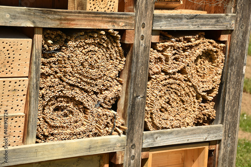 Insektenhotel aus Schilfröhren