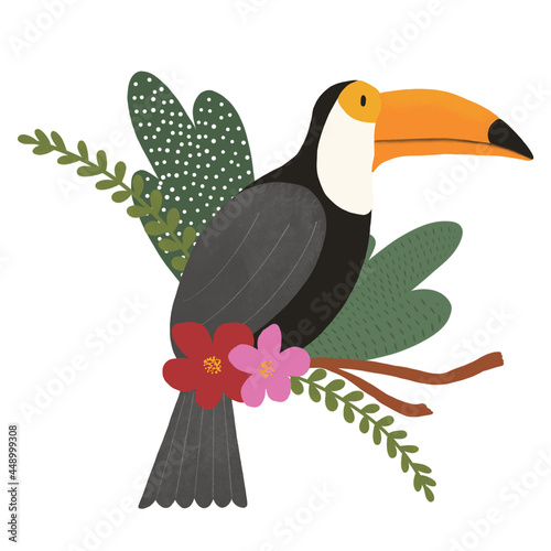 Ilustração de tucano com planta e foral colorido
