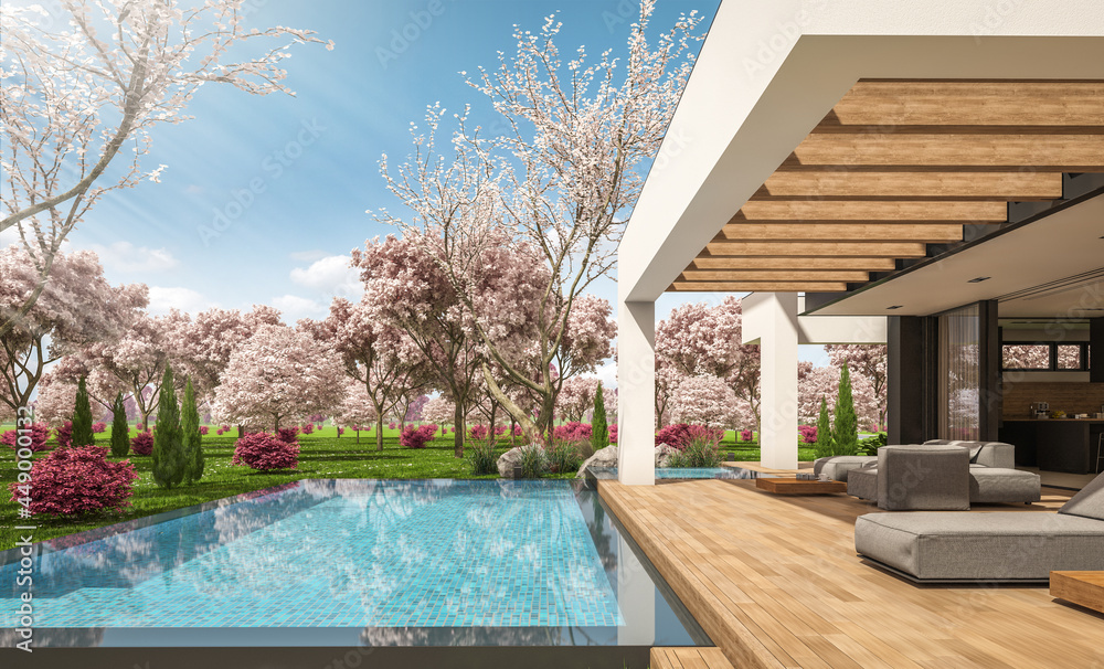 Fototapeta premium 3d rendering of modern cozy house with pool and parking for sale or rent in luxurious style and beautiful landscaping on background. Fresh spring day with a blooming trees with flowers of sakura