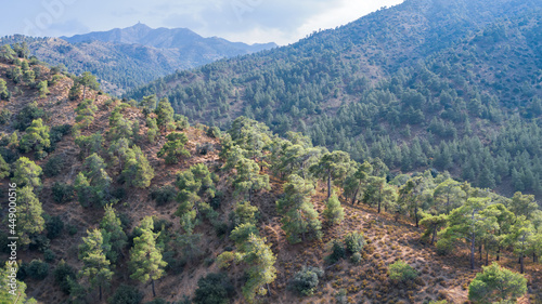 Troodos mountain range in Cyprus covered with pine forest, with Machairas (Kionia) peak at a distance photo