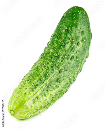 Ripe green cucumber isolated on a white background.