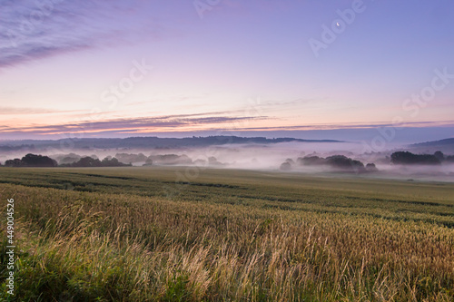 Morning fog under the agricultural field. Summertime landscape. Sunrise in the village
