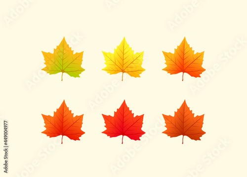 maple leaf color gradation collection vector illustration