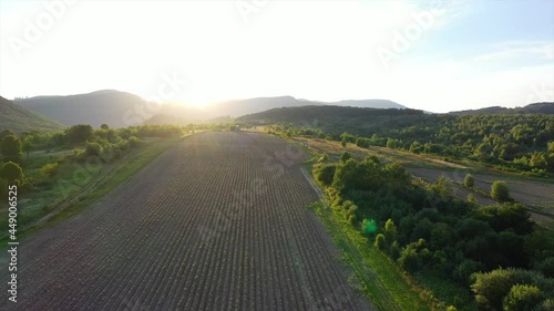 Not sown field in the mountains and forest at sunset