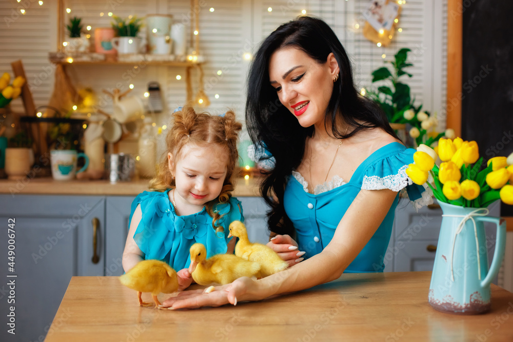 A brunette mother and her daughter are sitting at a table, playing with a small duckling. A girl and a woman in a blue dress are watching the chicks in the kitchen. Child and pets A brunette mother and her daughter are sitting at a table, playing with a small duckling. A girl and a woman in a blue dress are watching the chicks in the kitchen. Child and pets